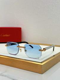 Picture of Cartier Sunglasses _SKUfw79280208fw